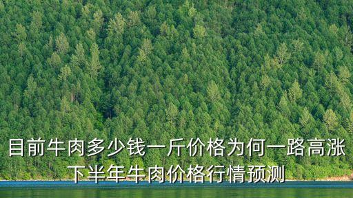 目前牛肉多少錢一斤價格為何一路高漲下半年牛肉價格行情預測