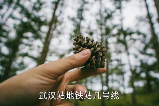 武漢地鐵路線,武漢地鐵線路圖出爐:武漢北滕子崗新榮丹水池
