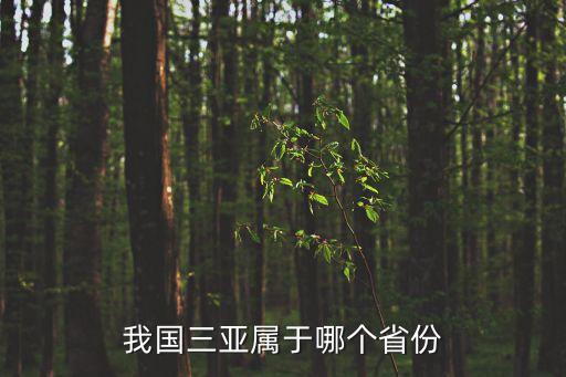 我國三亞屬于哪個省份