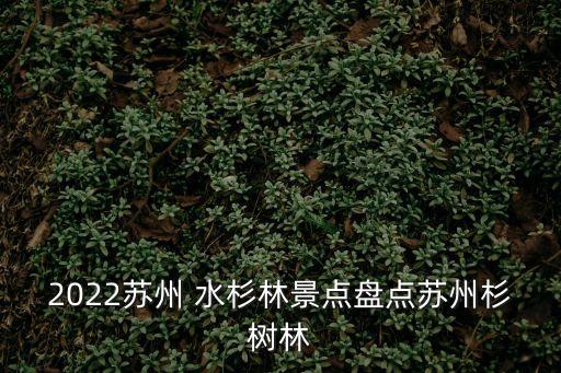 水杉林,觀賞水杉林好去處推薦福州哪里有水杉?