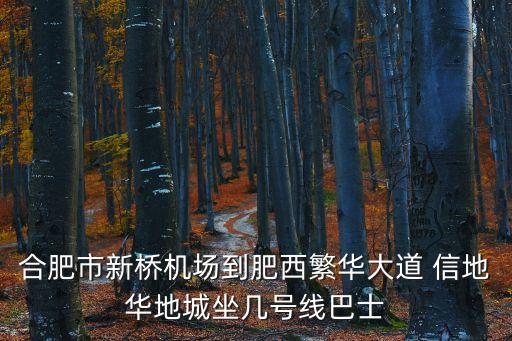 合肥市新橋機場到肥西繁華大道 信地華地城坐幾號線巴士
