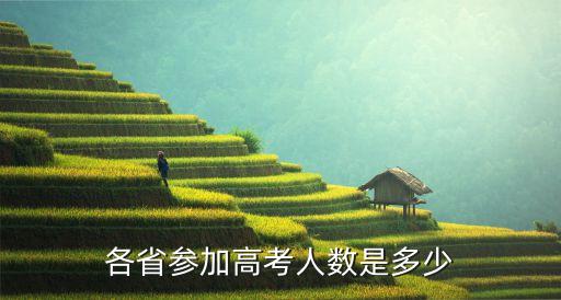各省參加高考人數是多少