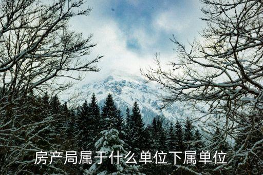 南京審計局,南審審計專業(yè)簡介培養(yǎng)具有創(chuàng)新意識和繼續(xù)發(fā)展?jié)摿?fù)合型應(yīng)用人才