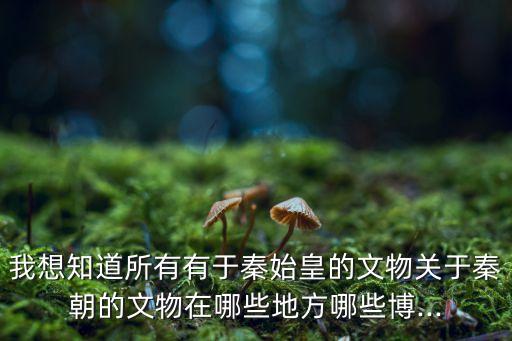 我想知道所有有于秦始皇的文物關(guān)于秦朝的文物在哪些地方哪些博...