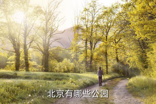 柳蔭公園,北京柳蔭公園的歷史