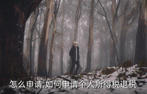 退稅怎么申請,如何申請個人所得稅退稅?
