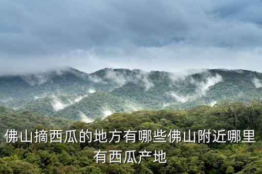 西瓜采摘,怎么判斷西瓜什么時候可以采摘?