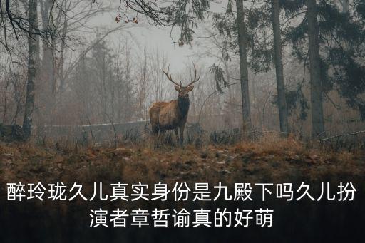 醉玲瓏久兒真實身份是九殿下嗎久兒扮演者章哲諭真的好萌