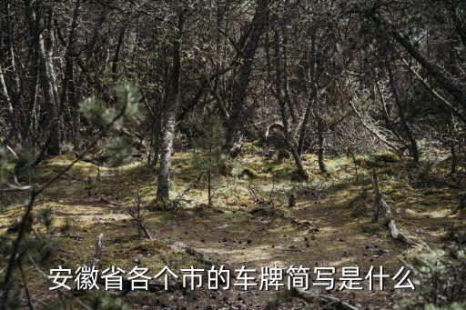 安徽省各個市的車牌簡寫是什么