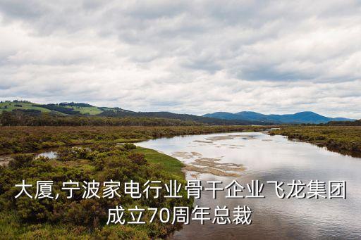 飛龍大廈,寧波家電行業骨干企業飛龍集團成立70周年總裁