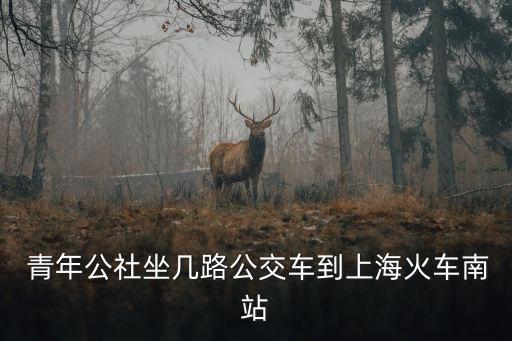 青年公社,從青年公社步行約130米到上?；疖嚹险竟痪€路如下