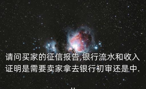 請問買家的征信報告,銀行流水和收入證明是需要賣家拿去銀行初審還是中...