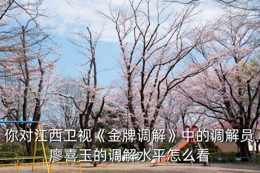 金牌調(diào)解主持人,《金牌調(diào)解》主持人是誰?
