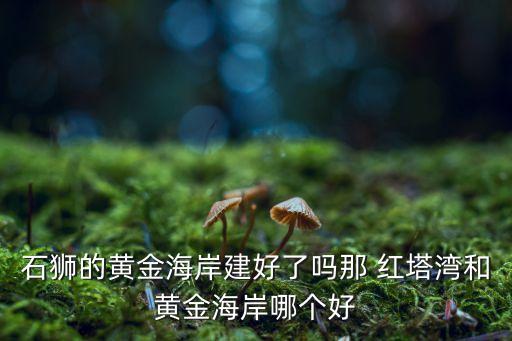 紅塔灣,那紅塔灣和黃金海岸哪個(gè)好?