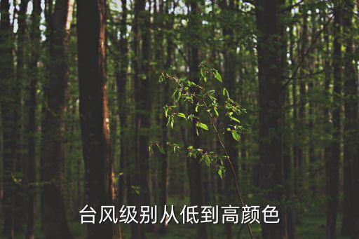 臺風(fēng)級別從低到高顏色