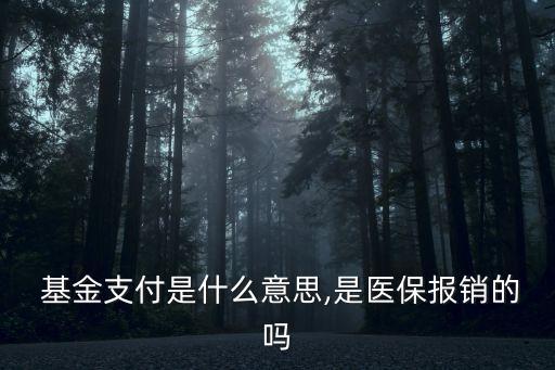  基金支付是什么意思,是醫(yī)保報(bào)銷的嗎