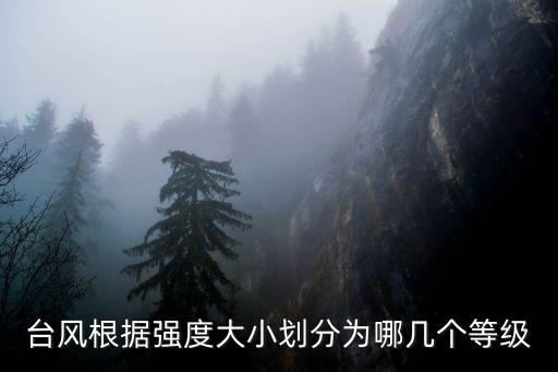 臺風根據強度大小劃分為哪幾個等級