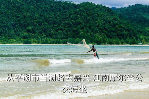 從平湖市當湖路去嘉興 江南摩爾坐公交怎坐