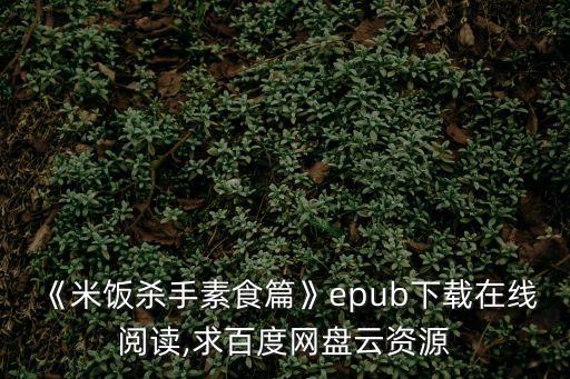 《米飯殺手素食篇》epub下載在線閱讀,求百度網盤云資源