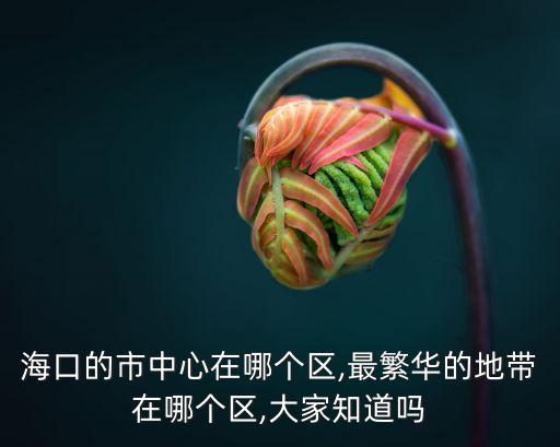 海口街道,海口市下轄街道辦事處有哪些?