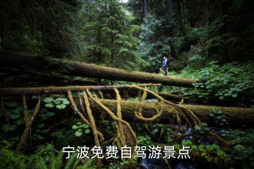 杭州灣國家濕地公園,杭州灣濕地公園能釣魚嗎?