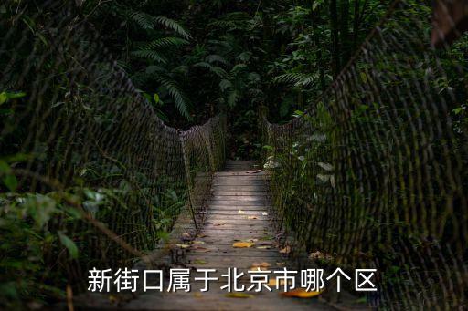 新街口在哪個區,南京新街口在哪個區?