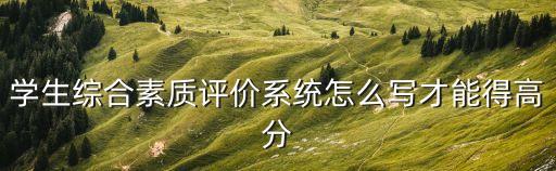 學生綜合素質評價系統怎么寫才能得高分