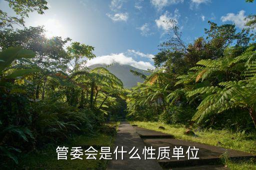 工業園區管委會,南川區工業園區管委會由誰批準設立?