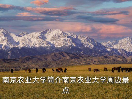南京農業大學簡介南京農業大學周邊景點