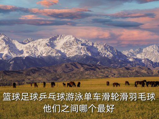 籃球足球乒乓球游泳單車滑輪滑羽毛球他們之間哪個最好