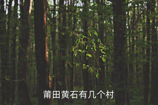 黃石鎮,黃石鎮在莆田市荔城區南部