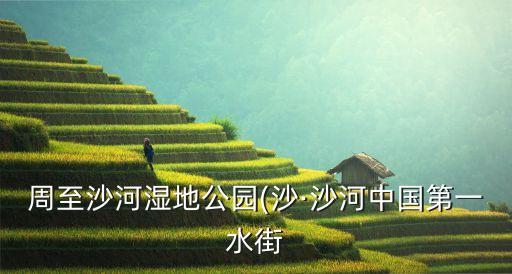 水街景區,中國第一水街周至水街要門票嗎?