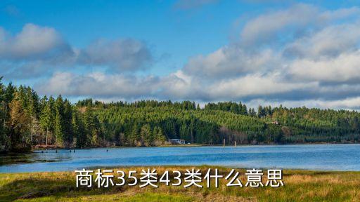 商標(biāo)35類43類什么意思