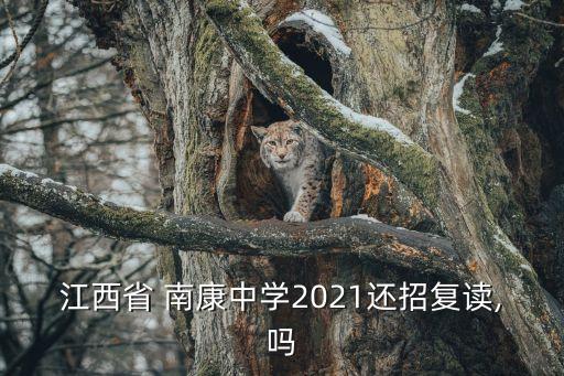 南康中學,南康中學民航班預錄分數線公布
