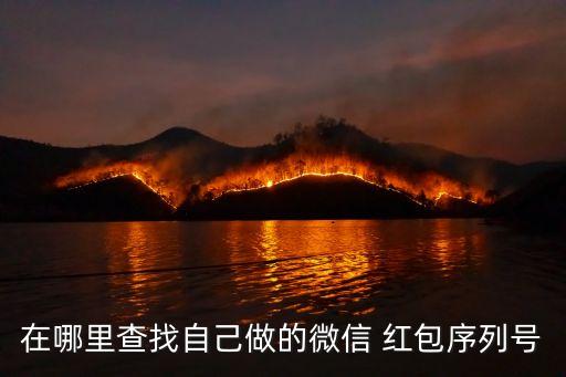在哪里查找自己做的微信 紅包序列號