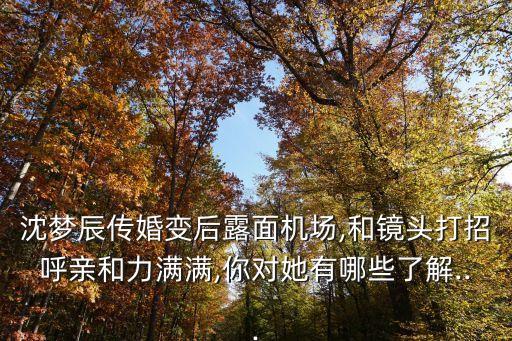 沈夢辰傳婚變后露面機(jī)場,和鏡頭打招呼親和力滿滿,你對她有哪些了解...