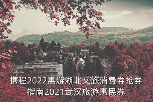 武漢消費券,武漢消費券怎么用?