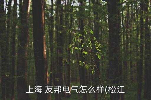 友邦電氣,上海友邦電氣怎么樣?網站宣傳的很好實地一看卻荒涼不堪