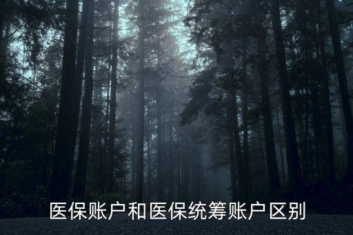 醫(yī)保賬戶和醫(yī)保統(tǒng)籌賬戶區(qū)別