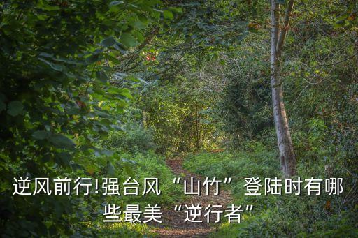 臺風現場直播,臺風怎么寫作文?看看這里!