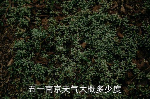 五一南京天氣大概多少度