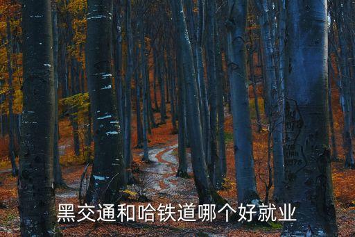 哈爾濱鐵道,哈爾濱鐵道職業技術學院是大專嗎?