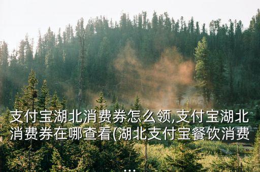 支付寶湖北消費券怎么領,支付寶湖北消費券在哪查看(湖北支付寶餐飲消費...
