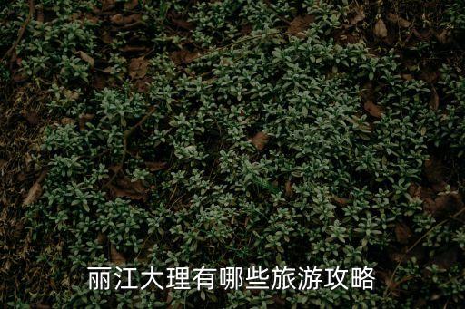 麗江大理有哪些旅游攻略
