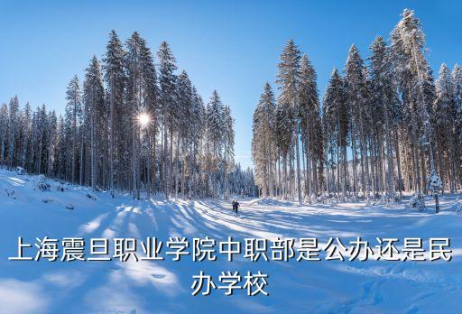 震旦職業技術學院,上海震旦職業學院學費一年多少?