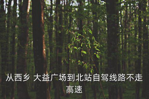 大益廣場,從大益廣場步行約10米到深圳灣口岸怎么走?