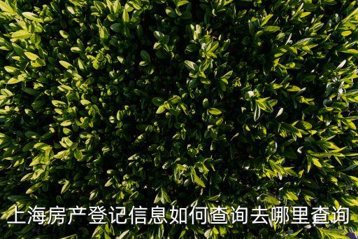 上海房屋管理局,上海房管局:將促進房地產(chǎn)市場健康平穩(wěn)發(fā)展