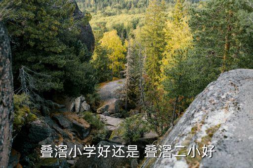 疊滘,賽龍舟是非遺項目還是文化遺產?