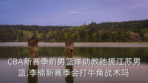 cba江蘇隊,李楠復制江蘇籃球經典戰術牛角站江蘇隊能否再創輝煌?