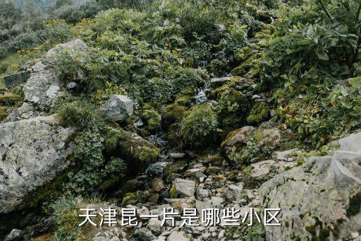團結新村,新疆烏魯木齊市新市區(qū)人口約37.66萬